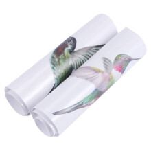 2X 8 Large Beautiful Humming Bird Static Cling Window Stickers Anti Collision Bird Strike Window Stickers