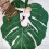2X Leaf-Shaped Rug, Home Decoration Rug, Bathroom Mat, Green Rug 5