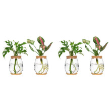Plants Propagation Stations, 4 Pcs Separated Desktop Plant Terrarium with Wooden Tray & Lid for Propagating Hydroponic