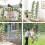 2X Eucalyptus Garland and Flower Hanging Artificial Eucalyptus Leaf Greenery for Wedding Backdrop Arch 4