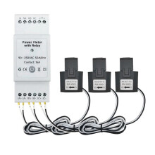 Tuya Life WiFi Energimätare Dubbelriktad 3-Fas med Torrkontaktswitch App Monitor 80A AC110V/240V