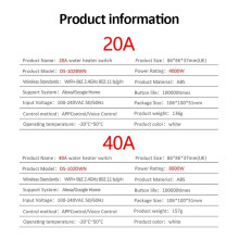 Tuya Wifi Water Heater Boiler Airconditioner Life Afstandsbediening Spraakbesturing voor Alexa Home 20A