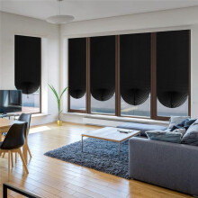Cordless Blackout Pleated Fabric Shade Window Shades Blinds Darkening Temporary Light Filtering Pleated Paper Shade 2pcs