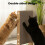 Skylos 48cm High L Shaped Cat Scratching Board 2