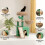 Skylos Compact Cat Tree 80CM Multi-Level Activity 8