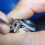 24 Pcs Open Mouth Cup Burr - 3/32In Shank Open Mouth Cup Shape Wire Rounder Bits Jewelry Setting Lapidary Making Bits 7