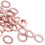 200 Pcs Copper Crush Washer Flat Seal Ring Fitting 6mm X 10mm X 1mm 9