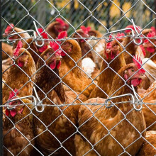 Outil de Tension de Fil de Clôture 20 X Tendeurs de Fil avec Poignée Fournitures de Réparation de Tendeur en Métal pour Jardin de Ferme Extérieur