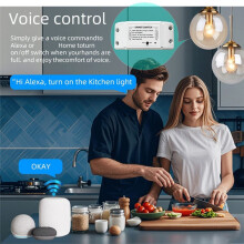 Interruptor WiFi de 433 MHz con Módulo de Relé para Automatización Hogar Inteligente, Control Remoto Inalámbrico Compatible con Control por Voz