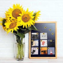 Puntine a Forma di Girasole Puntine di Girasole Puntine di Sughero per Fiori Puntine da Disegno di Girasole per Foto Mappe da Parete (40PCS)