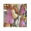 (S, Pink) Conjunto de 2 de calle. 2