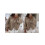 (M, Khaki) Gilet cardigan ample pour l'automne. 2