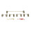 5PCS Transparent Gold Plated Plate Mounted Stabilizer PCB Mount Keyboard Stabilizers for Mechanical Keyboards 1