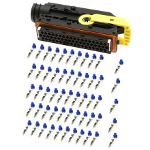 55 Pins Automotive Connector for Truck ECU Plug with Terminal 1718248-1 DJ7552-3.5-21
