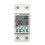 Tuya 63A 2p WIFI  Meter, over/Under Voltage Leakage Current Protector ,  Power Circuit Relay  KWh 1