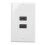 3X  2- Wall Face Plate Panel Outlet 1080p Cover Coupler Socket HOT 2