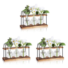 3X Plant Propagation Station with Wooden Stand,Plant Terrarium Desktop Propagation Stations,Air Planter Bulb Glass Vase