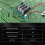 BLDC Three Phase Brushless Sensorless Motor Controller BL01 15A Violent Fan Modulation DC5V6V9V12V36V Forward and Reverse 4