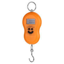 Digital Hanging Scale with Strength Steel Hook, Compact Lightweight Design for Fishing and Kitchen