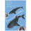 Remote Control Fish Children's Swimming Pool Beach Bath Toys Simulation Remote Control Mechanical Fish Robot 10