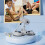 Training Aid Adjustable Sit- Exercise Equipment Double Suction Cups,Multi-Function Abdominal Trainer for HomeGym B 2