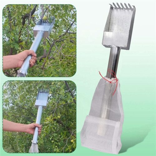 Fruit Picking Poles, Fruit Picking Baskets, Integrated Picking and Harvesting Systems for Mangoes, Oranges