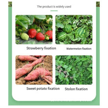 Plantbevestigingsclip Watermeloen Wijnstokpersframe Aardbeienplantvork Frambozenplantgereedschap Plantvork