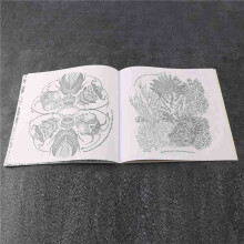 2X Livre de Peinture de Coloriage de Chasse Au Tresor Du Royaume Des Animaux pour Enfants et Adult