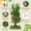 Cozy Cat Perch with Natural Green Surroundings 2
