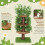 Cozy Cat Perch with Natural Green Surroundings 12