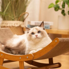 Katzen-Loungebett Aus Holz mit Abnehmbarem Katzenkratzbrett Aus Wellpappe, Abgenutzter Katzenschaber, Krallenschleifspielzeug S