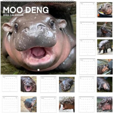 Moo Deng Kalender 2025 Tischkalender & Kalender, Moo Deng Weihnachtsgeschenk, Moo Deng Geschenk, Moo Deng Nilpferd