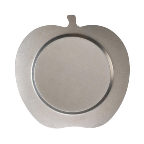 Stainless Steel Dinner Plate 24cm Rustproof Stackable for Camping Picnic and Outdoor Dining