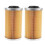 2PCS Engine Oil Filter for 420956741  130 Thru 260Hp 4 TEC 1