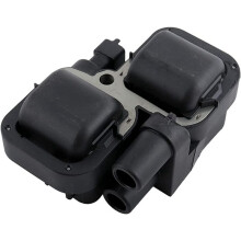 Bobine D'Allumage de Moteur Hors-Bord de Bateau Ă Moteur pour Outlander 420266070 278001546 270600002 2876049