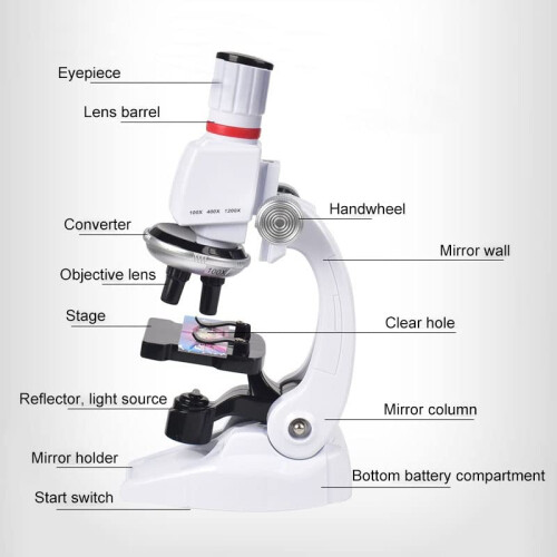 1200X Student Biological Microscope with LED and Phone Holder for Classroom and Home Use 1
