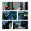 Fingerprint Recognition Module ZW0642 Capacitive Touch Fingerprint Sensing Module Door Lock Acquisition Module,B 8