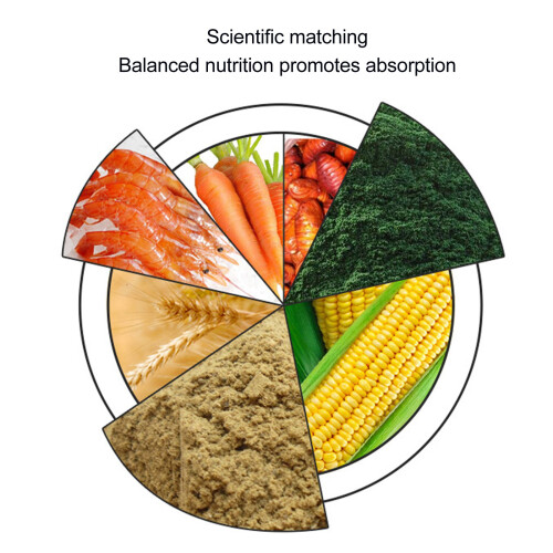 Betta-Fischfutter 2,1 oz Farbverstärkend, Gesund, Leicht Verdaulich 2