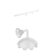 Aquarium Fish Tank Shrimp Feeding Food Dish Tray With Feeder Tube 350m