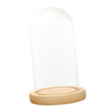 Clear Glass Display Dome with LED Wood Base Microlandscape Holder A 9x