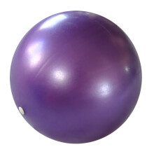 25cm Soft Anti Burst Yoga Ball Exercise GYM Pilates Fitness Balls Pur
