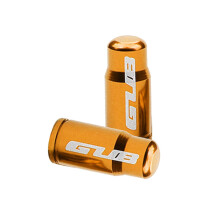 2x Alloy Valve Cap Tire Presta Schrader Dust Cover Nozzle Caps FV Gold