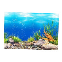 Ocean PVC Aquarium Background Poster Fish Tank Decoration Landscape 50