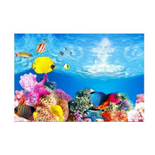 Ocean PVC Aquarium Background Poster Fish Tank Decoration Landscape 60