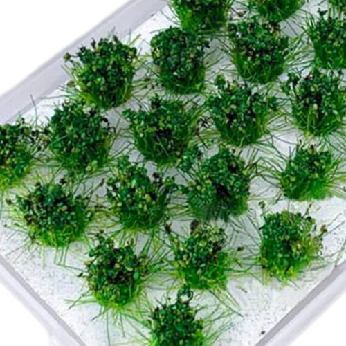 Bushy Cluster Grass Tufts Miniature Static Scenery Model Railway DIY D 2