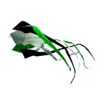 Long Tail Kite Decorative Popular Rotating Tube Kite for Park Grasslan