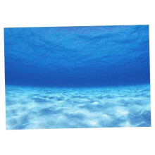 3D One Side Aquarium Universe Landscape Poster Fish Tank Background 61