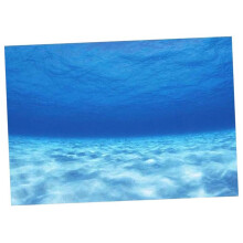 3D One Side Aquarium Universe Landscape Poster Fish Tank Background 76
