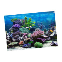 Aquarium Background, Adhesive Poster Fish Tank Wall Decor Sticker Cora