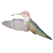 6 Pcs Lrge Size Bird Window Clings Anti-Collision Window Clings Decals to Prevent Bird Strikes  Window Glass